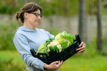 Similar image 22351789