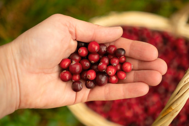 Similar image 22354382