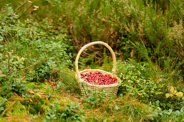 Similar image 22354385