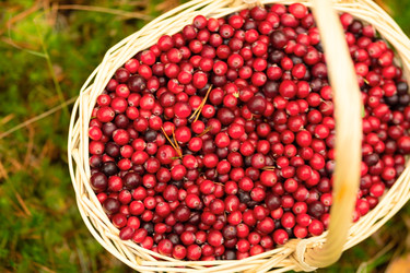 Similar image 22357231