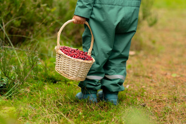 Similar image 22357233