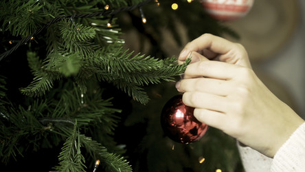 Similar image 22370316