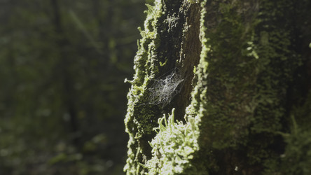 Similar image 22370451