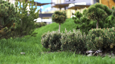 Similar image 22370603