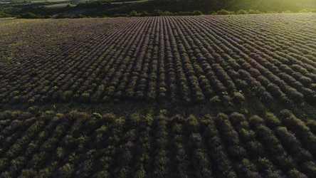 Similar image 22370839