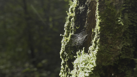 Similar image 22351521