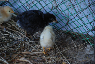 Similar image 22349458