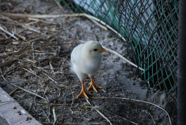 Similar image 22349459