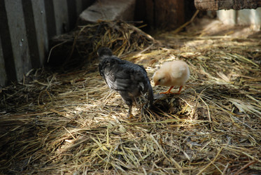 Similar image 22350882