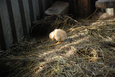 Similar image 22350883