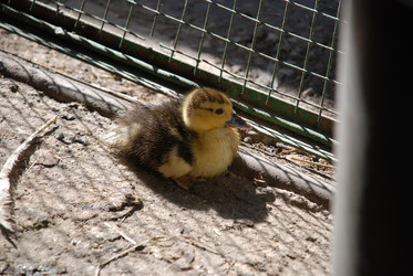 Similar image 22350886