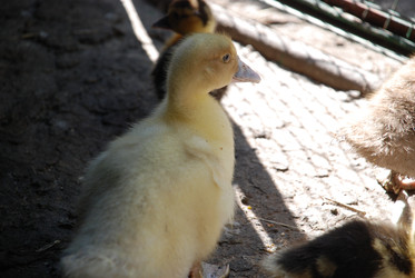 Similar image 22357883