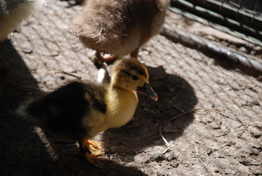 Similar image 22357885