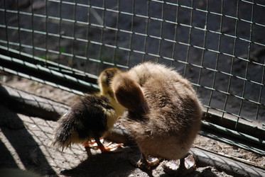 Similar image 22363612