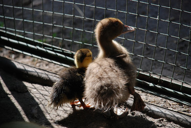 Similar image 22363613