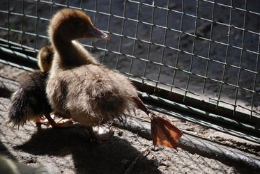 Similar image 22363614