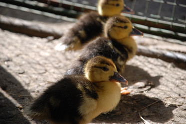 Similar image 22371646