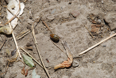 Similar image 22371647