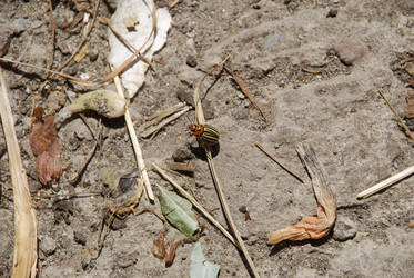 Similar image 22371648