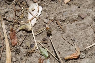 Similar image 22371656