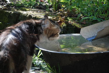 Similar image 22371659