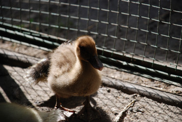 Similar image 22371663