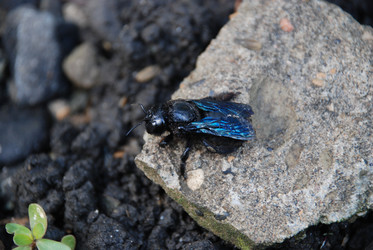 Similar image 22371665