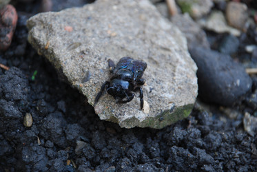 Similar image 22371666