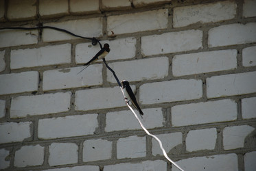 Similar image 22371667