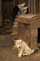 Similar image 22349106