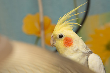 Similar image 22349108