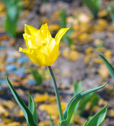 Similar image 22379806