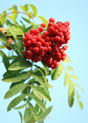 Similar image 22379822