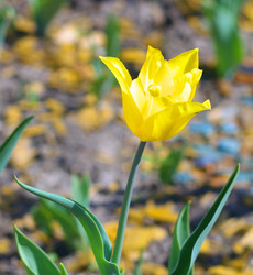 Similar image 22379881