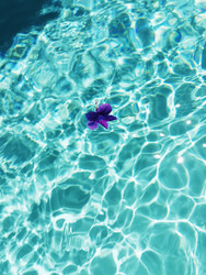 Similar image 22351770