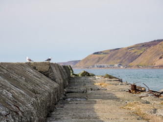 Similar image 22349222