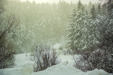 Similar image 22349225