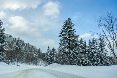 Similar image 22349228