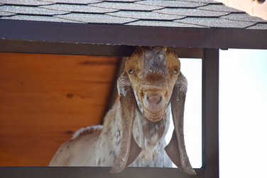 Similar image 22349116