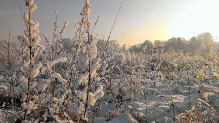 Similar image 22349120