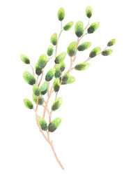 Similar image 22355216