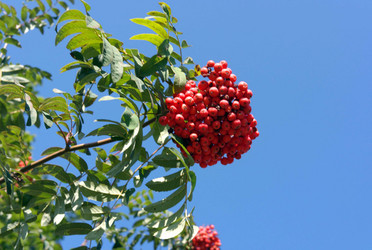 Similar image 22380091