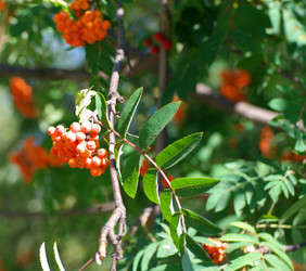 Similar image 22380182