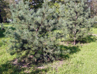 Similar image 22380196