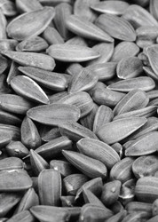 Similar image 22380465