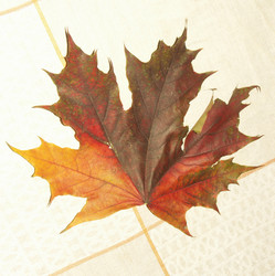 Similar image 22380495