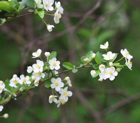 Similar image 22380525