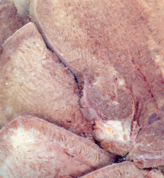 Similar image 22380540