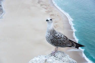 Similar image 22365702