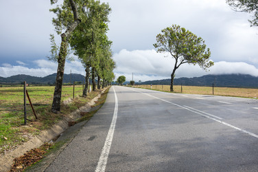 Similar image 22372001